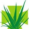 Herbolario Salud – Tienda de suplementos deportivos en Soria, Soria Información sobre suplementos deportivos energéticos, beneficios, tipos y cómo mejorar tu rendimiento físico. Herbolario Salud