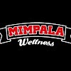 Tienda de suplementos deportivos en Benifaió Información sobre suplementos deportivos energéticos, beneficios, tipos y cómo mejorar tu rendimiento físico. Negocio Mimpala Wellness